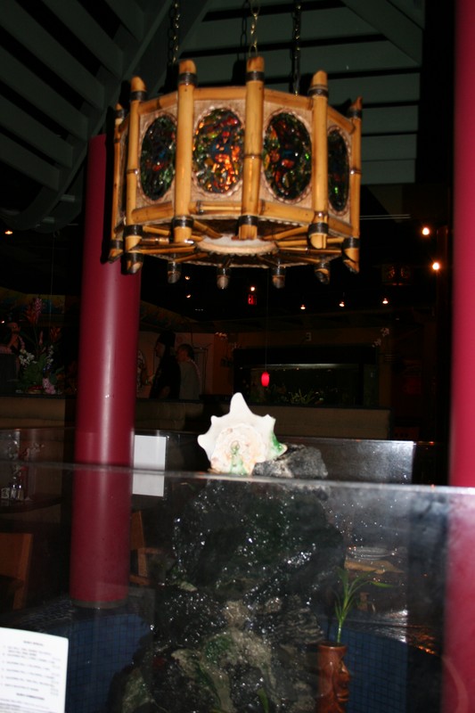 The Kahiki lamp in the center of the pagoda. Beneath is a rock waterfall completed by a Kahiki headhunter mug with lucky bamboo.