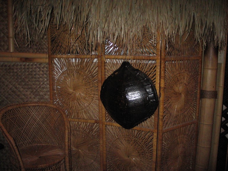 Just to the left facing the doorway leading back to the main rooms, an excellent Honu shell!