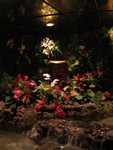 despite the carnage, this Tiki's water garden is realtively intact, and he still basks in the lush fake foliage.