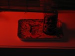 A Tiki table oil lamp sits on a small tray on one of the window sills. This is the real lighting in the Lounge...