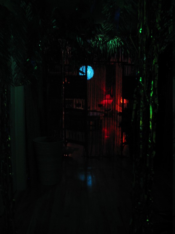 Turn to the right from the trunk and the   entrance to the Lounge appears. There are potted palms and other plants 'growing near the doorway. It has a thatch roof, and a shell curtain entryway. Inside softly glowing lights can be seen.