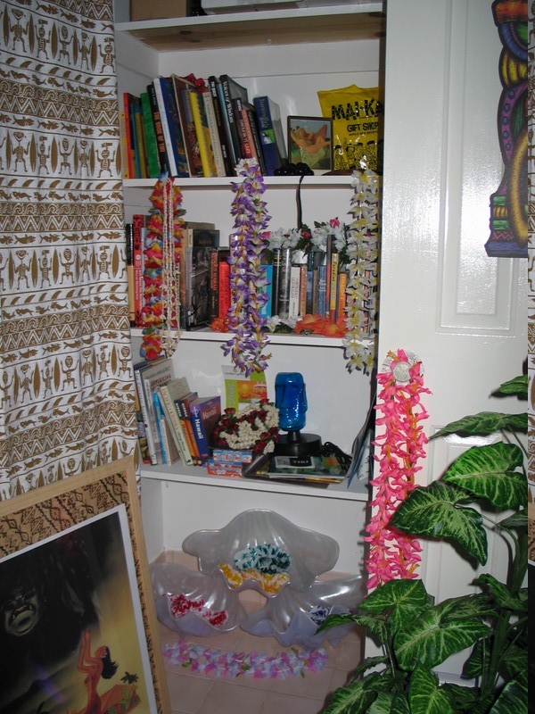 The closet of the Tabu Tomes and clamshells in the entryroom. The shelves and closet as a whole have yet to be Tikified. 