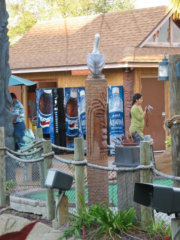 Looking back at the hut and the 'pelican perch' Tiki.