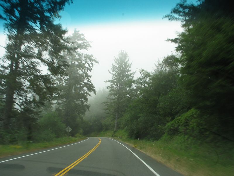 A front seat peek, as the day grew foggier.