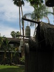 IMG 6796