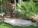 IMG 6797