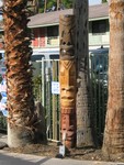 IMG 6803
