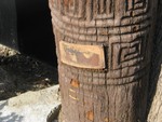 IMG 6812
