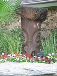 A close up on our burried friend.