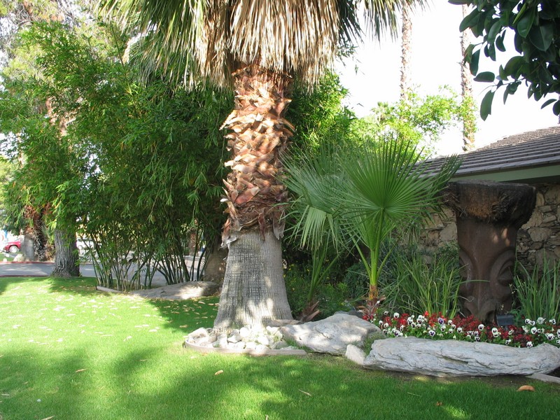 Before you even enter the Caliente Tropics, outside the office, near the sign and street, a half burried Tiki promises good things inside the grounds.