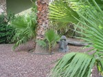 IMG 6836