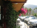 The view across the front of the Tropics from La Casita's entryway.